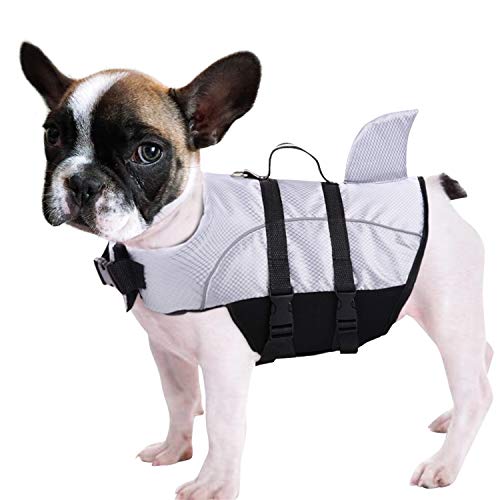 Queenmore Ripstop Hunde-Schwimmweste, Hai-Schwimmweste für Hunde, Sicherheits-Lebensretter mit hohem Auftrieb und Hebegriff für kleine und mittlere Rassen (Grau M) von Queenmore
