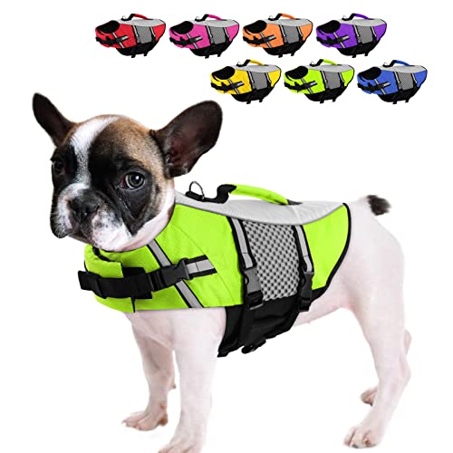 Queenmore Schwimmweste für Hunde, Schwimmweste, kleine und mittelgroße Hunde, Neopren-Schwimmweste, leicht, reflektierend, Lebensretter für Hunde zum Bootfahren, Kajakfahren (grün, M) von Queenmore