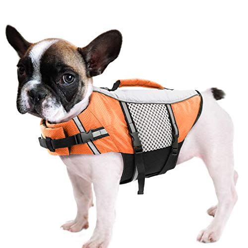 Queenmore Schwimmweste für Hunde, Schwimmweste, leicht, hochreflektierend, Lebensretter für Haustiere, mit Hebegriff, Leinenring (Orange, 2XL) von Queenmore