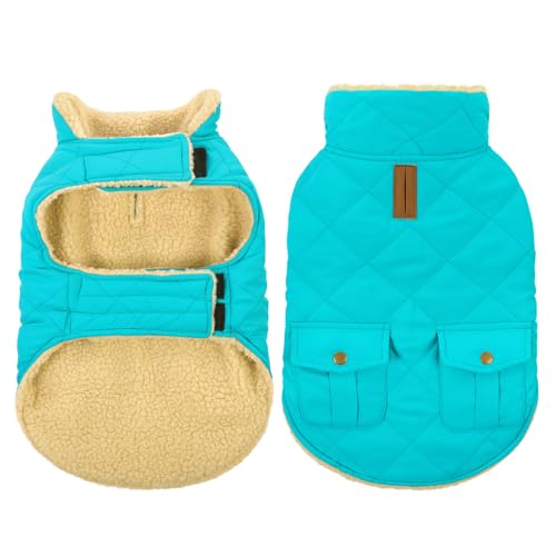 Queenmore Wintermantel Hund Wasserdicht Hundemantel Winter Große Hunde Warme Fleecemantel Hundejacke Quilten Hundebekleidung Hundepullover Für Greyhound Dackel Bulldogge Beagle Labrador, Himmelblau, L von Queenmore
