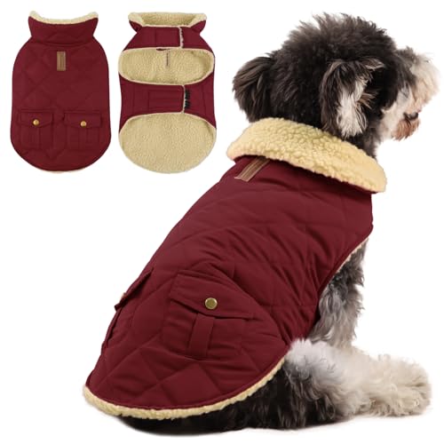 Queenmore Wintermantel Hund Wasserdicht Hundemantel Winter Große Hunde Warme Fleecemantel Hundejacke Quilten Hundebekleidung Hundepullover Für Greyhound Dackel Bulldogge Beagle Labrador, Burgund, L Queenmore Wintermantel Hund Wasserdicht Hundemantel Winter Große Hunde Warme Fleecemantel Hundejacke Quilten Hundebekleidung Hundepullover Für Greyhound Dackel Bulldogge Beagle Labrador, Burgund, L von Queenmore