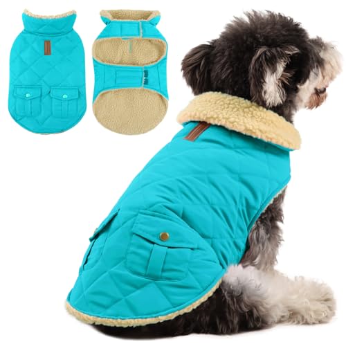 Queenmore Wintermantel Hund Wasserdicht Hundemantel Winter Kleine Hunde Warme Fleecemantel Hundejacke Quilten Hundebekleidung Hundepullover Für Dackel Chihuahua Pudel Bulldogge Beagle, Himmelblau, S von Queenmore