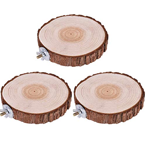3 Stück Papagei Plattform Stand Zubehör Spielzeug Hamster Plattform Brett Stations Brett Ständer Barsch Plattform Ständers für Vögel Wellensittich Nymphensittich Knabberball Sitzbrett Kork sollte 3 Stück Papagei Plattform Stand Zubehör Spielzeug Hamster Plattform Brett Stations Brett Ständer Barsch Plattform Ständers für Vögel Wellensittich Nymphensittich Knabberball Sitzbrett Kork sollte von Queerelele