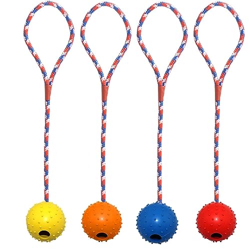 4 Stück Hundespielzeug Ball,Haustier Ball,Hundeball mit Seil, Naturkautschukball für Hunde,Unzerstörbar Hundeball,Wurfball Hund für Große & Kleine Hunde Weite Würfe Fangen Fangen und Ziehen Ø 5 cm von Queerelele