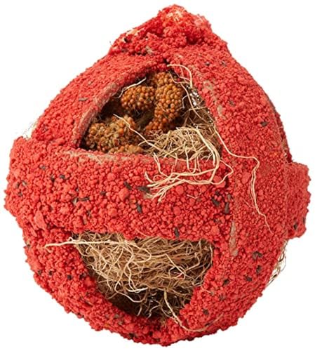 Quiko Fitness Foodball Rojo 100g - Snack und Spielspaß für alle Ziervögel von Quiko