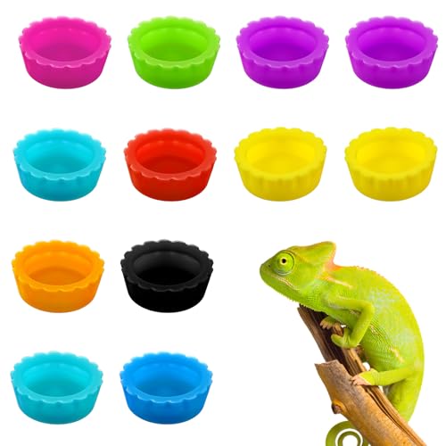 12 x Gecko-Lebensmittelbecher, Kunststoff, Bartdrache, Mini-Lebensmittelschale für Gecko-Futterbecher, leicht zu reinigen 12 x Gecko-Lebensmittelbecher, Kunststoff, Bartdrache, Mini-Lebensmittelschale für Gecko-Futterbecher, leicht zu reinigen von Quilax