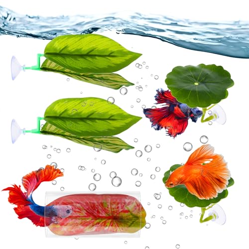 Betta-Blatt-Hängematten-Set, Beta-Hängematten-Betta-Zubehör, weiche Aquarium-Dekoration mit Acryl-Tunnel, sicher für Betta-Fische (grün) von Quilax