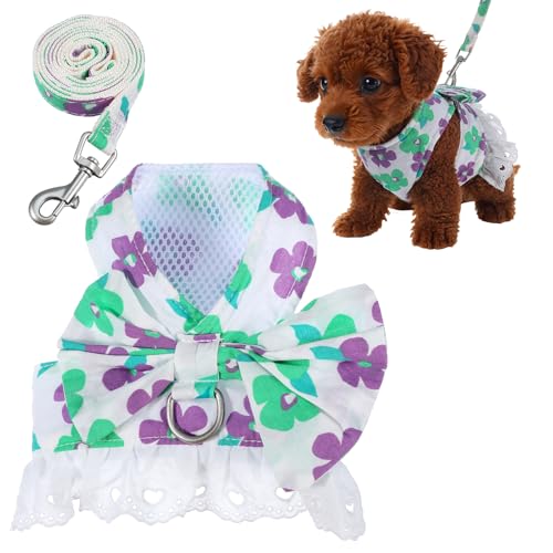 Hundegeschirrkleid für kleine Hunde, Kleider für kleine Hunde und Mädchen, Gänseblümchen, Hundegeschirr und Leine, Set mit Welpenkleider, Prinzessinnen-Rock mit Perlen, Schleife, Zubehör für Haustiere Hundegeschirrkleid für kleine Hunde, Kleider für kleine Hunde und Mädchen, Gänseblümchen, Hundegeschirr und Leine, Set mit Welpenkleider, Prinzessinnen-Rock mit Perlen, Schleife, Zubehör für Haustiere von Quilax