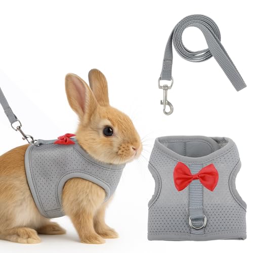 Kaninchengeschirr und Leine, Set mit niedlicher Schleife, weiches Netzweste, Geschirr für Kaninchen, verstellbares Hasengeschirr, für Kaninchen, Spaziergänge (Grau) von Quilax