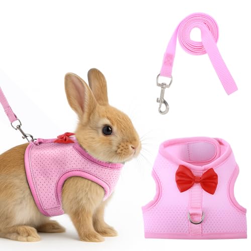 Kaninchengeschirr und Leine, Set mit niedlicher Schleife, weiches Netzweste, Geschirr für Kaninchen, verstellbares Hasengeschirr, für Kaninchen, Spaziergänge (Rosa) von Quilax