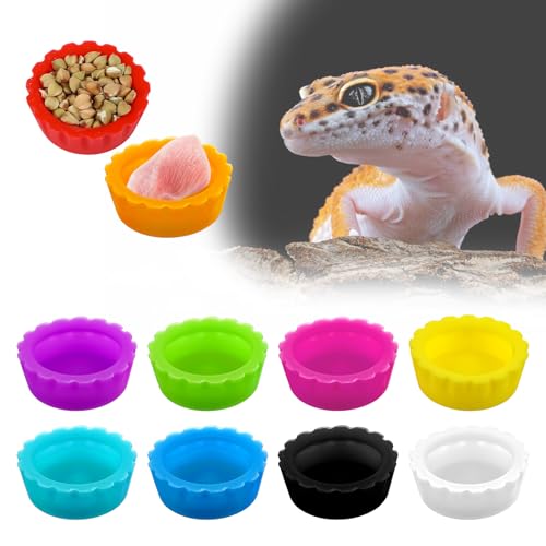 Quilax Gecko-Futterbecher mit Haube, Gecko-Futterschale mit Haube, 12 Stück, Geckoo-Futterbecher, Gecko-Tankzubehör für Schildkröten, kleine Haustiere und Krabben Quilax Gecko-Futterbecher mit Haube, Gecko-Futterschale mit Haube, 12 Stück, Geckoo-Futterbecher, Gecko-Tankzubehör für Schildkröten, kleine Haustiere und Krabben von Quilax