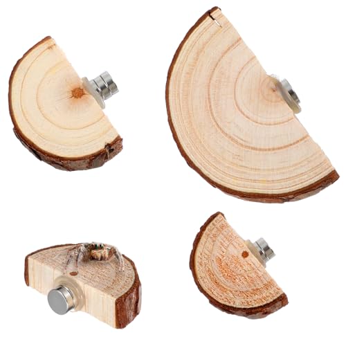 Springende Spinnen-Gehege, Ledgess, Springspinnengehege, Leiter, Jumpinng Spinnen, Zubehör, Lebensraum-Dekoration für kleine leichte Tiere, 3 Stück Springende Spinnen-Gehege, Ledgess, Springspinnengehege, Leiter, Jumpinng Spinnen, Zubehör, Lebensraum-Dekoration für kleine leichte Tiere, 3 Stück von Quilax