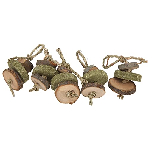 Qukaim 5 Stück Kaninchen-Kaugras-Kuchenspieße, sichere Haustier-Snacks, Spielzeug für Kaninchen und Hamster, Kauspielzeug, Zutaten, 15 cm lang Qukaim 5 Stück Kaninchen-Kaugras-Kuchenspieße, sichere Haustier-Snacks, Spielzeug für Kaninchen und Hamster, Kauspielzeug, Zutaten, 15 cm lang von Qukaim