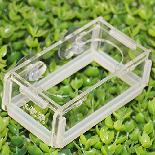 Qukaim Acryl Fish Tank Feeder Acryl Fischfutter Feeder für Fischtank, Saugnapf-Design, einfache Installation, Aquarium Fisch Feeder, ideal zum Füttern von Fischen, 10 x 5 x 5 cm von Qukaim