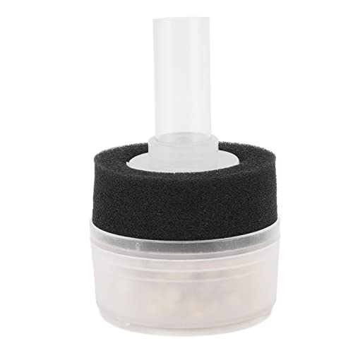 Qukaim Aquarium Bio Schwamm Filter Aquarium Biochemischer Schwammfilter, Aktivkohle Geruchsentfernung, Multifunktionales Fischtankfiltermaterial, 28 x 10,5 x 2 cm, geeignet für Süßwasser und Qukaim Aquarium Bio Schwamm Filter Aquarium Biochemischer Schwammfilter, Aktivkohle Geruchsentfernung, Multifunktionales Fischtankfiltermaterial, 28 x 10,5 x 2 cm, geeignet für Süßwasser und von Qukaim