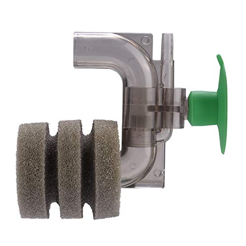 Qukaim Aquarium Filterschwamm Mini Silent Sauerstoffpumpe Wasserfilter Schwamm, Aquarium Filtertasche mit Netz, Geeignet für Fischtanks, Sauerstofffilter Accory, 10 x 10 cm Qukaim Aquarium Filterschwamm Mini Silent Sauerstoffpumpe Wasserfilter Schwamm, Aquarium Filtertasche mit Netz, Geeignet für Fischtanks, Sauerstofffilter Accory, 10 x 10 cm von Qukaim