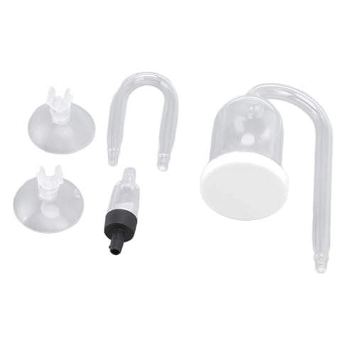 Qukaim Aquarium Luftstein Diffusor Aquarium Bubble Diffuser, Transparent Glas Luftstein Diffusor, Verhindert Verstopfung, Fish Tank Sauerstoff Refiner für gelösten Sauerstoff, Kohlendioxid Qukaim Aquarium Luftstein Diffusor Aquarium Bubble Diffuser, Transparent Glas Luftstein Diffusor, Verhindert Verstopfung, Fish Tank Sauerstoff Refiner für gelösten Sauerstoff, Kohlendioxid von Qukaim