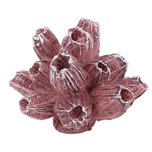 Qukaim Aquarium-Ornamente, Korallenornament, künstliche Korallenpflanze, Dekoration für Aquarien, weiche und korallenförmige Dekoration, ideal für Wasserumgebungen, 30,5 cm Qukaim Aquarium-Ornamente, Korallenornament, künstliche Korallenpflanze, Dekoration für Aquarien, weiche und korallenförmige Dekoration, ideal für Wasserumgebungen, 30,5 cm von Qukaim