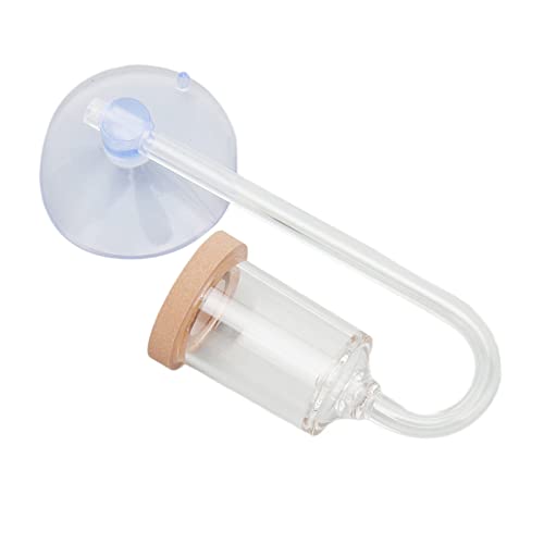 Qukaim Aquarium Planted Tank Accories Aquarium CO2 Diffuser, Slim Glass CO2 Refiner mit Saugnapf für Fish Tank, CO2 Glas Aquarium Supply Zubehör, Geeignet für bepflanzte Tanks Qukaim Aquarium Planted Tank Accories Aquarium CO2 Diffuser, Slim Glass CO2 Refiner mit Saugnapf für Fish Tank, CO2 Glas Aquarium Supply Zubehör, Geeignet für bepflanzte Tanks von Qukaim