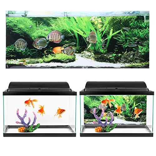Qukaim Aquarium Poster PVC Klebe Meeresboden Kleine Fische Wasserpflanzen Aquarium Hintergrund Poster Aufkleber 91 x 50 cm Fish Tank Dekoration Wasserdicht Einfach anzubringen Qukaim Aquarium Poster PVC Klebe Meeresboden Kleine Fische Wasserpflanzen Aquarium Hintergrund Poster Aufkleber 91 x 50 cm Fish Tank Dekoration Wasserdicht Einfach anzubringen von Qukaim