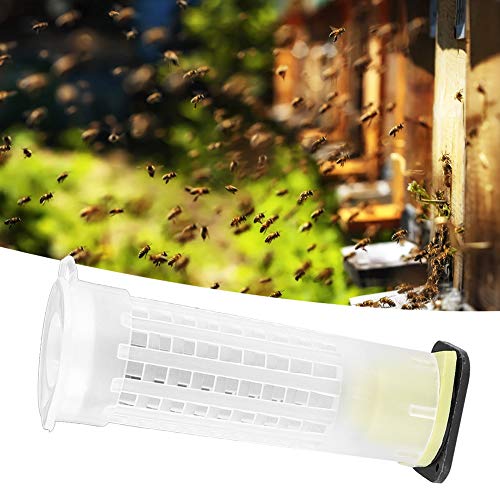 Qukaim Bee Queen Käfig für Bienenkönigin, Kunststoff, Anti-Bissschutz, Imkerausrüstung, Insektenwerkzeug für Imkerei, langlebiges Design, 15 Stück Qukaim Bee Queen Käfig für Bienenkönigin, Kunststoff, Anti-Bissschutz, Imkerausrüstung, Insektenwerkzeug für Imkerei, langlebiges Design, 15 Stück von Qukaim