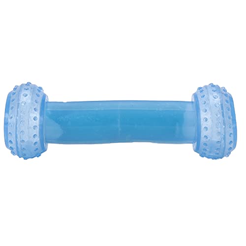 Qukaim Beißen? - Resistentes kühlendes Kauspielzeug Hund Gummi Knochen Spielzeug Zahnreinigung Kauspielzeug für Hunde Ungiftiges Latex Interaktives Squeeze Spielzeug für Hunde und Kaninchen, 25,4 cm, Qukaim Beißen? - Resistentes kühlendes Kauspielzeug Hund Gummi Knochen Spielzeug Zahnreinigung Kauspielzeug für Hunde Ungiftiges Latex Interaktives Squeeze Spielzeug für Hunde und Kaninchen, 25,4 cm, von Qukaim