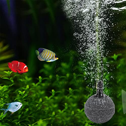 Qukaim Bubble Stone Luftsprudler 20 Stück, Mini-Luftpumpe, Hydrokultur-Sauerstoffplatte für Aquarien, geeignet für Aquarien, effiziente Luftzufuhr Qukaim Bubble Stone Luftsprudler 20 Stück, Mini-Luftpumpe, Hydrokultur-Sauerstoffplatte für Aquarien, geeignet für Aquarien, effiziente Luftzufuhr von Qukaim
