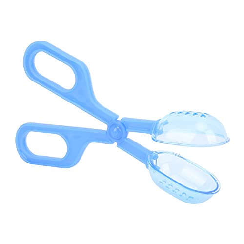 Qukaim Feedingand Cleaning Tool Amphibien Terrarium Feeding Clamp, Reptile Feeding and Cleaning Tool for Spider Cricket, Blue von Qukaim