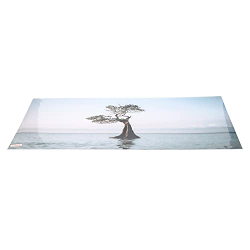 Qukaim Fish Tank Hintergrund Dekoration Aquarium Hintergrund Poster, PVC Selbstklebende Fish Tank Tapete, Baum im Meer Stil, 91 x 50 cm / 35,8 x 19,7 Zoll, Fisch Tank Hintergrund Dekoration Qukaim Fish Tank Hintergrund Dekoration Aquarium Hintergrund Poster, PVC Selbstklebende Fish Tank Tapete, Baum im Meer Stil, 91 x 50 cm / 35,8 x 19,7 Zoll, Fisch Tank Hintergrund Dekoration von Qukaim