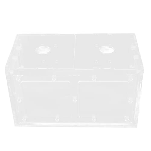 Qukaim Fish Tank Inkubator Fischzucht Isolation Box, Transparent Mesh Side Fish Tank Inkubator, 17 x 9 x 10 cm / 6,7 x 3,5 x 3,9 Zoll, geeignet für kleine Fische und Eierbecher Schlüpfen Qukaim Fish Tank Inkubator Fischzucht Isolation Box, Transparent Mesh Side Fish Tank Inkubator, 17 x 9 x 10 cm / 6,7 x 3,5 x 3,9 Zoll, geeignet für kleine Fische und Eierbecher Schlüpfen von Qukaim