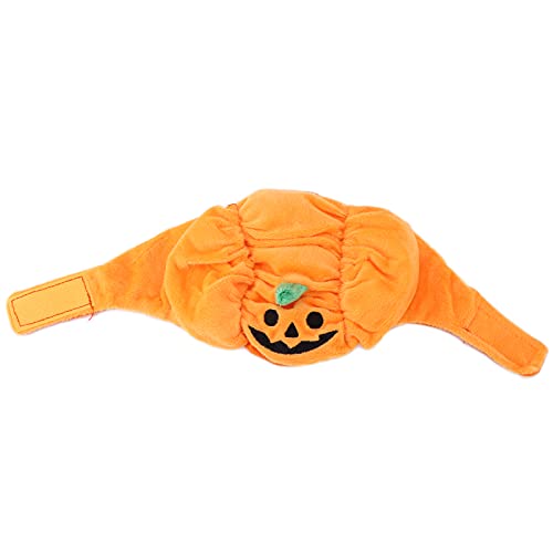 Qukaim Halloween-Kürbis-Hut für Haustiere, weich, verstellbar, Kopfbedeckung für Katzen, Hunde und Kaninchen, ideal für Halloween-Kostüme, lustige Haustierbekleidung Qukaim Halloween-Kürbis-Hut für Haustiere, weich, verstellbar, Kopfbedeckung für Katzen, Hunde und Kaninchen, ideal für Halloween-Kostüme, lustige Haustierbekleidung von Qukaim
