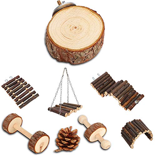 Qukaim Hamster Leiter Spielzeug 8pcs Hamster Holz Schaukel Spielzeug Set Kleine Haustier Tier Spielspielzeug Inklusive Leiter und Schaukel Ideal für Hamster, Meerschweinchen und andere Kleintiere Qukaim Hamster Leiter Spielzeug 8pcs Hamster Holz Schaukel Spielzeug Set Kleine Haustier Tier Spielspielzeug Inklusive Leiter und Schaukel Ideal für Hamster, Meerschweinchen und andere Kleintiere von Qukaim