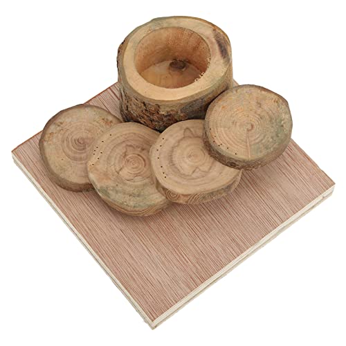 Qukaim Haustier Hamster Holzbedarf Hamster Holzschüssel und Leiter, Kletterplattform und Futternapf für kleine Haustiertiere, Naturholzdesign, geeignet für Hamster und kleine Nager Qukaim Haustier Hamster Holzbedarf Hamster Holzschüssel und Leiter, Kletterplattform und Futternapf für kleine Haustiertiere, Naturholzdesign, geeignet für Hamster und kleine Nager von Qukaim