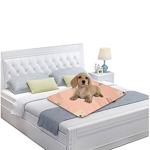 Qukaim Haustier Kühlmatte Kühlmatte Kühlmatte Sommer Hundematte Katze Kühle Matratze Eispad für Haustiere Wasserdicht rutschfest 60x40cm ideal für Hunde und Katzen, Rosa M Qukaim Haustier Kühlmatte Kühlmatte Kühlmatte Sommer Hundematte Katze Kühle Matratze Eispad für Haustiere Wasserdicht rutschfest 60x40cm ideal für Hunde und Katzen, Rosa M von Qukaim
