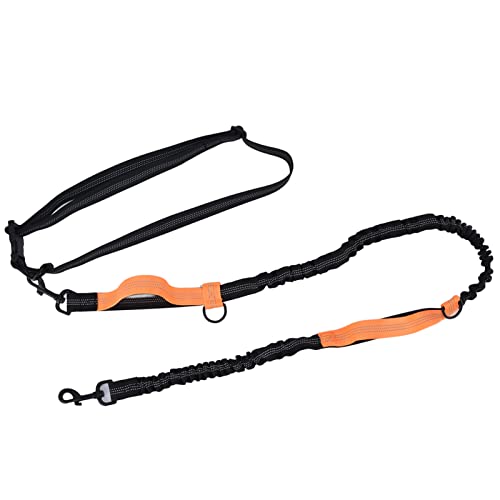 Qukaim Haustier-Leinen-Set, reflektierend, tragbar, verstellbar, leichte Aluminiumlegierung für Hunde, einziehbares Design, Orange, 4-teilig Qukaim Haustier-Leinen-Set, reflektierend, tragbar, verstellbar, leichte Aluminiumlegierung für Hunde, einziehbares Design, Orange, 4-teilig von Qukaim