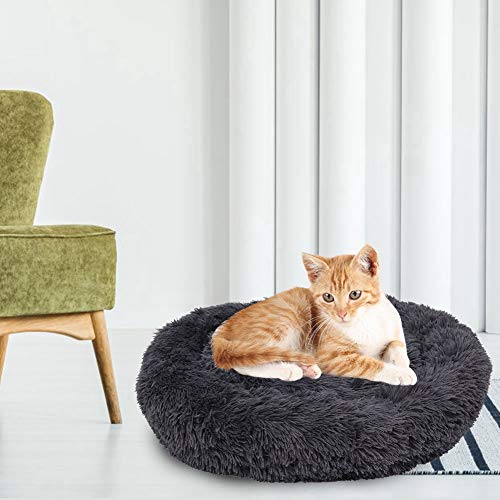 Qukaim Haustiermatte Rundes weiches warmes Plüsch-Haustierbett, rutschfeste Matte, bequemes Kissen für kleine Hunde und Katzen, Dunkelgrau, XS Größe Qukaim Haustiermatte Rundes weiches warmes Plüsch-Haustierbett, rutschfeste Matte, bequemes Kissen für kleine Hunde und Katzen, Dunkelgrau, XS Größe von Qukaim