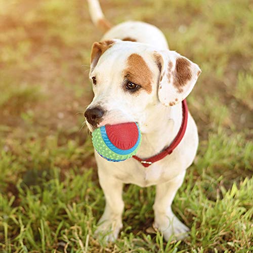 Qukaim Haustierspielzeug für Hunde, Gummi, elastischer Ball, Kauzahnschleifen, sicherer interaktiver Trainingsball für Welpen, ideal zum Apportieren, 7 cm Durchmesser, helle Farbe Qukaim Haustierspielzeug für Hunde, Gummi, elastischer Ball, Kauzahnschleifen, sicherer interaktiver Trainingsball für Welpen, ideal zum Apportieren, 7 cm Durchmesser, helle Farbe von Qukaim
