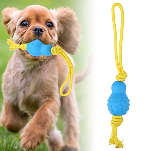 Qukaim Hund Kauseil Ball Latex Material Hund Elastische Seil Ball, Hund Kauen Training Spielzeug für Zahnreinigung, Blau, Langlebiges Kauwerkzeug für Hunde Qukaim Hund Kauseil Ball Latex Material Hund Elastische Seil Ball, Hund Kauen Training Spielzeug für Zahnreinigung, Blau, Langlebiges Kauwerkzeug für Hunde von Qukaim