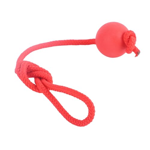 Qukaim Hunde-Gummiball mit Seil Hundeball Seilspielzeug, interaktiver bissfester Gummiball mit Seil für Outdoor-Training, 5 cm / 2 Zoll, quietschendes Plüsch-Hundekauspielzeug Qukaim Hunde-Gummiball mit Seil Hundeball Seilspielzeug, interaktiver bissfester Gummiball mit Seil für Outdoor-Training, 5 cm / 2 Zoll, quietschendes Plüsch-Hundekauspielzeug von Qukaim
