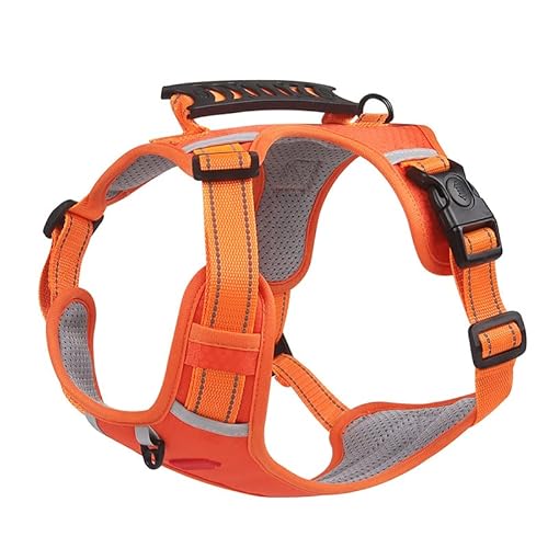 Qukaim Hundegeschirr Leine Wasserdicht Hundeweste Rucksack, Multifunktionales Reflektierendes Haustiergeschirr mit Leine, Verstellbares Design für Training, Wandern, Camping, Armeegrün Qukaim Hundegeschirr Leine Wasserdicht Hundeweste Rucksack, Multifunktionales Reflektierendes Haustiergeschirr mit Leine, Verstellbares Design für Training, Wandern, Camping, Armeegrün von Qukaim