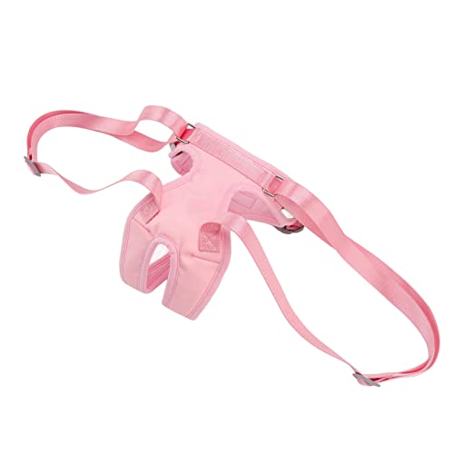 Qukaim Hundegeschirr zum Heben, verstellbar, sicher, bequem, Welpen, Hinterbeinstütze, Weste für alte Behinderte, Rehabilitation, Größe M, Haustier-Mobilitätshilfe, Hundebeinbandage Qukaim Hundegeschirr zum Heben, verstellbar, sicher, bequem, Welpen, Hinterbeinstütze, Weste für alte Behinderte, Rehabilitation, Größe M, Haustier-Mobilitätshilfe, Hundebeinbandage von Qukaim
