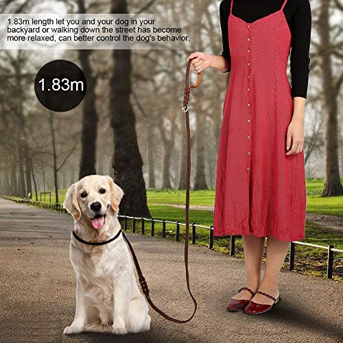 Qukaim Hundeleine, Leder, Trainingsleine, Doppelhaken, Gurt für große, mittelgroße und kleine Hunde, 1,5 m lang, robustes Design, ideal für Training und Spaziergänge Qukaim Hundeleine, Leder, Trainingsleine, Doppelhaken, Gurt für große, mittelgroße und kleine Hunde, 1,5 m lang, robustes Design, ideal für Training und Spaziergänge von Qukaim