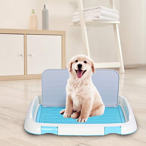Qukaim Hundetoilette Tragbare Haustier Hund Katze Toilette Tablett mit Säule Urinalschüssel, Urinalschüssel, Urinal-Toilette, Blau, Kleine Größe, Ideal für den Innenbereich Qukaim Hundetoilette Tragbare Haustier Hund Katze Toilette Tablett mit Säule Urinalschüssel, Urinalschüssel, Urinal-Toilette, Blau, Kleine Größe, Ideal für den Innenbereich von Qukaim