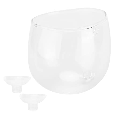 Qukaim Mini Aquarium Pflanzbecher Aquarium Pflanzbecher Mini Glas Pflanze Zuchttopf mit 2 Saugnäpfen für Fischtank, geeignet für Wasserpflanzen, Aquariumbedarf von Qukaim