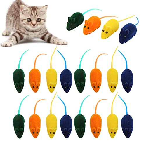 Qukaim Pelzmäuse-Spielzeug, interaktives Katzenspielzeug, 4 Farben, stressabbauendes Haustier-Katzenspielzeug, 20 Stück Qukaim Pelzmäuse-Spielzeug, interaktives Katzenspielzeug, 4 Farben, stressabbauendes Haustier-Katzenspielzeug, 20 Stück von Qukaim