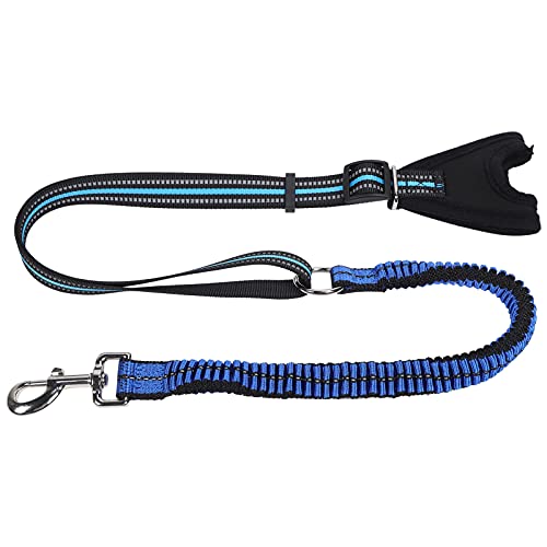 Qukaim Pet Supplies Reflektierender Haustier-Sicherheitsgurt, Hundeleine mit Anti-Verlust-Funktion, Nylonband, Blau, 1,5 m lang, reflektierendes Traktionsseil für Haustiere, Größe S Qukaim Pet Supplies Reflektierender Haustier-Sicherheitsgurt, Hundeleine mit Anti-Verlust-Funktion, Nylonband, Blau, 1,5 m lang, reflektierendes Traktionsseil für Haustiere, Größe S von Qukaim