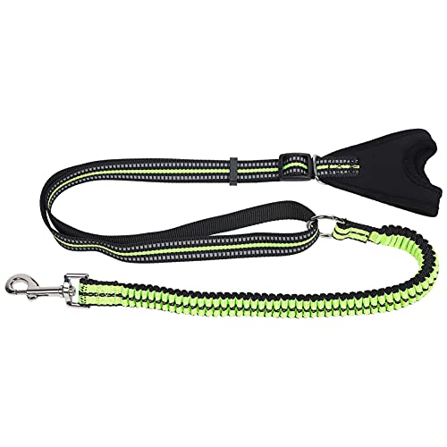 Qukaim Pet Supplies Reflektierender Haustier-Sicherheitsgurt Hund Walking Leash, Anti-Verlust-Reflektierendes Training Nylon Gurt, Grün, Größe S, Geeignet für kleine Hunde und Haustiere Qukaim Pet Supplies Reflektierender Haustier-Sicherheitsgurt Hund Walking Leash, Anti-Verlust-Reflektierendes Training Nylon Gurt, Grün, Größe S, Geeignet für kleine Hunde und Haustiere von Qukaim