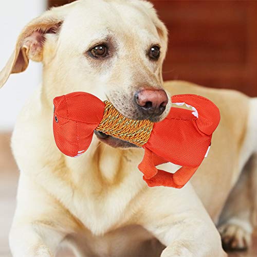 Qukaim Plüsch Hundespielzeug Plüsch Hundespielzeug, Interaktives Dinosaurierform Kauspielzeug für Hunde, Zahnreinigung und Klangfunktionen, Orange, Ideal für Training und Spielzeit Qukaim Plüsch Hundespielzeug Plüsch Hundespielzeug, Interaktives Dinosaurierform Kauspielzeug für Hunde, Zahnreinigung und Klangfunktionen, Orange, Ideal für Training und Spielzeit von Qukaim