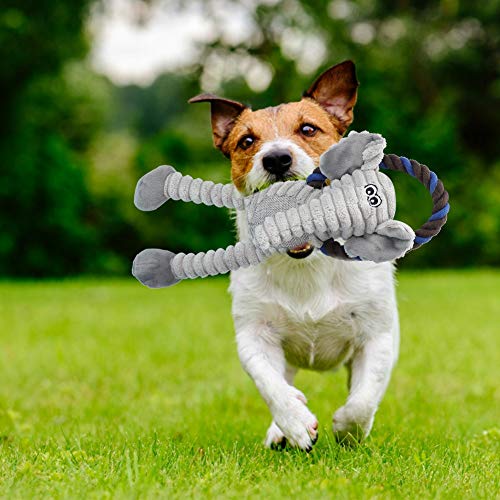 Qukaim Plüsch Hundespielzeug Weiches Plüsch Hundespielzeug, Interaktives Elefant Kau- und Beißspielzeug, Zahnreinigung Sounding Trainingsspielzeug für Hunde, Ideal für Spielen und Zahnpflege Qukaim Plüsch Hundespielzeug Weiches Plüsch Hundespielzeug, Interaktives Elefant Kau- und Beißspielzeug, Zahnreinigung Sounding Trainingsspielzeug für Hunde, Ideal für Spielen und Zahnpflege von Qukaim