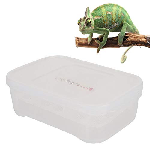 Qukaim Reptilien-Brutkasten Reptilien-Schlüpfkasten, 12 Gitter Kleiner Reptilienbrutkasten, Professionelle Eidechsenzuchtbox für Kletterhaustiere, Ideal für Reptilienzucht und Schlüpfen von Qukaim